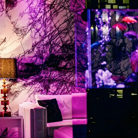 Szálloda The Ciao Stelio Deluxe Boutique - Adults Only 4*