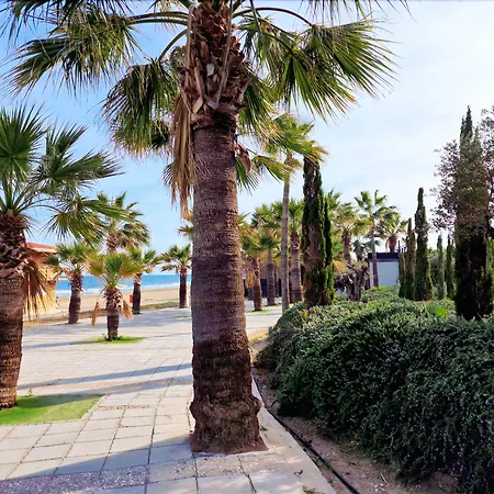 Hotel The Ciao Stelio Deluxe Boutique - Adults Only 4*